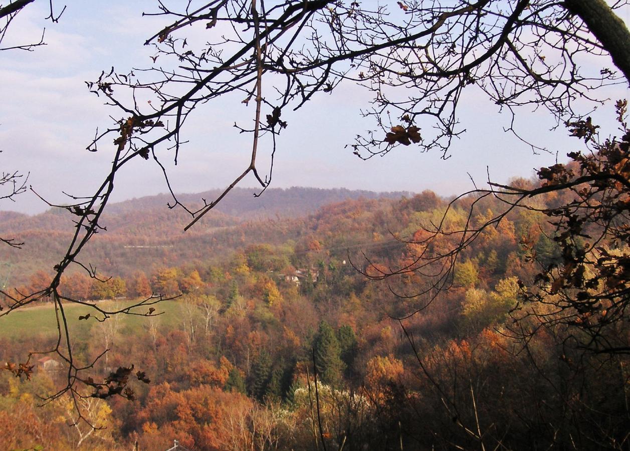 La Traversina Stazzano Luaran gambar